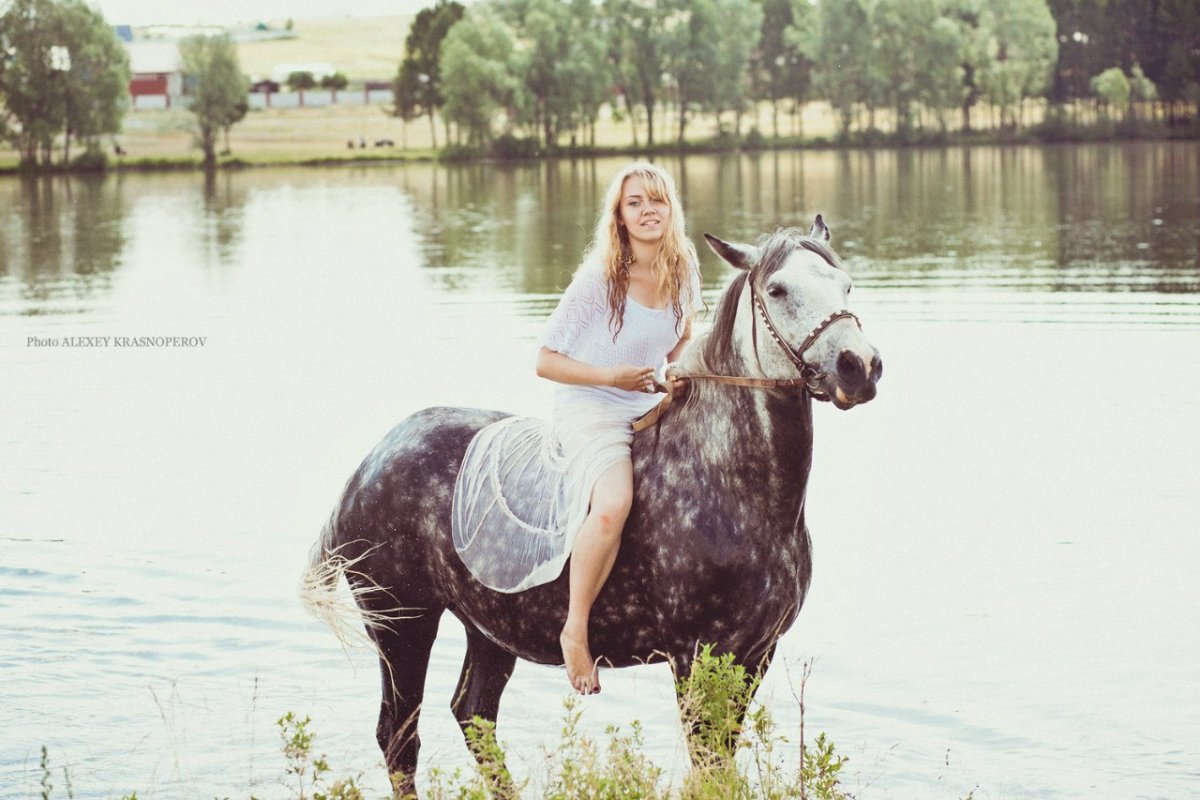 Новорожденный жеребенок