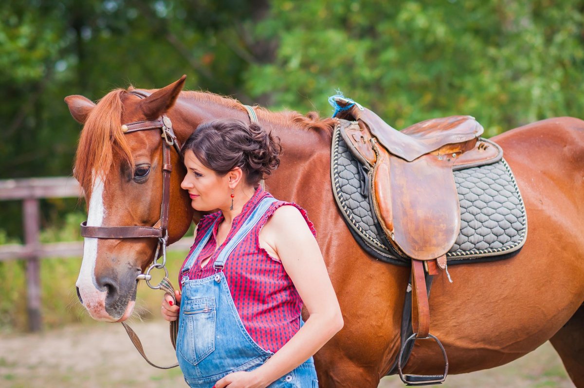 Ферма лошадей