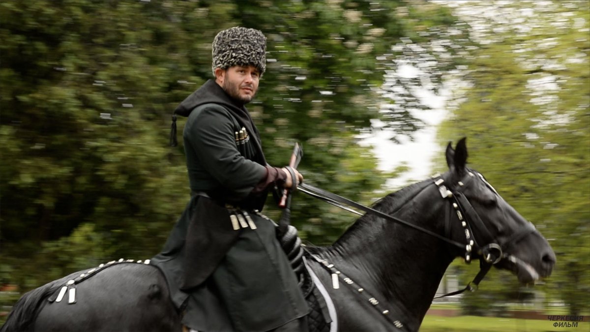 Порода лошадей Шагди Адыгская