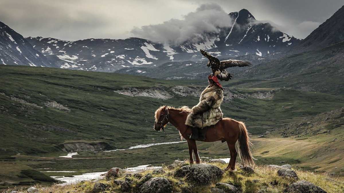 Соколиная охота Алтай