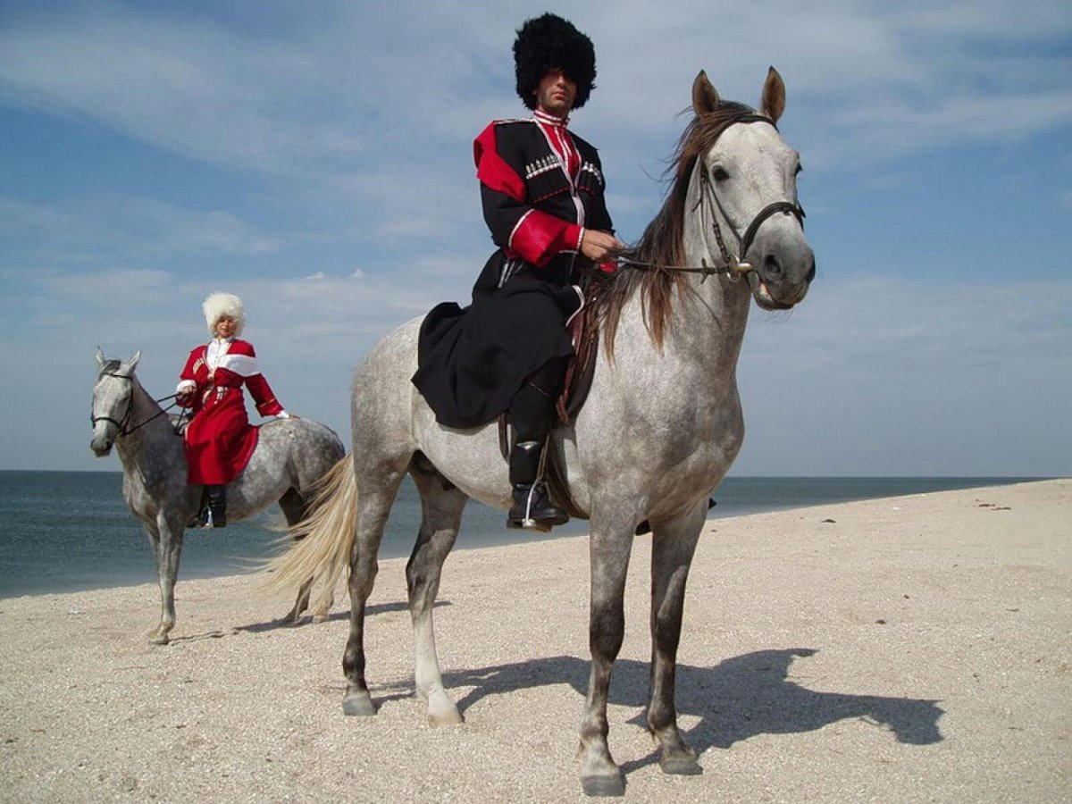 Кубанский казак на коне