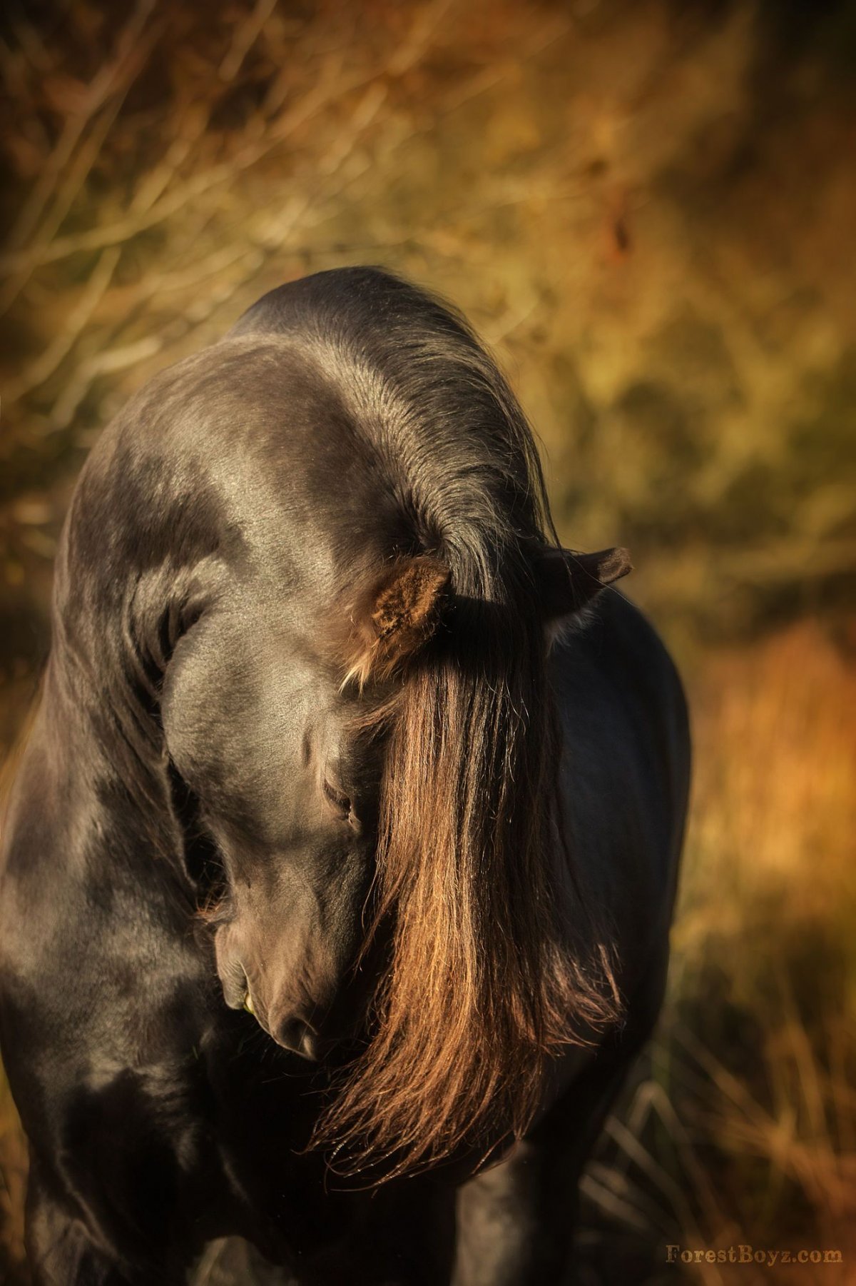 Лошадка в цветах