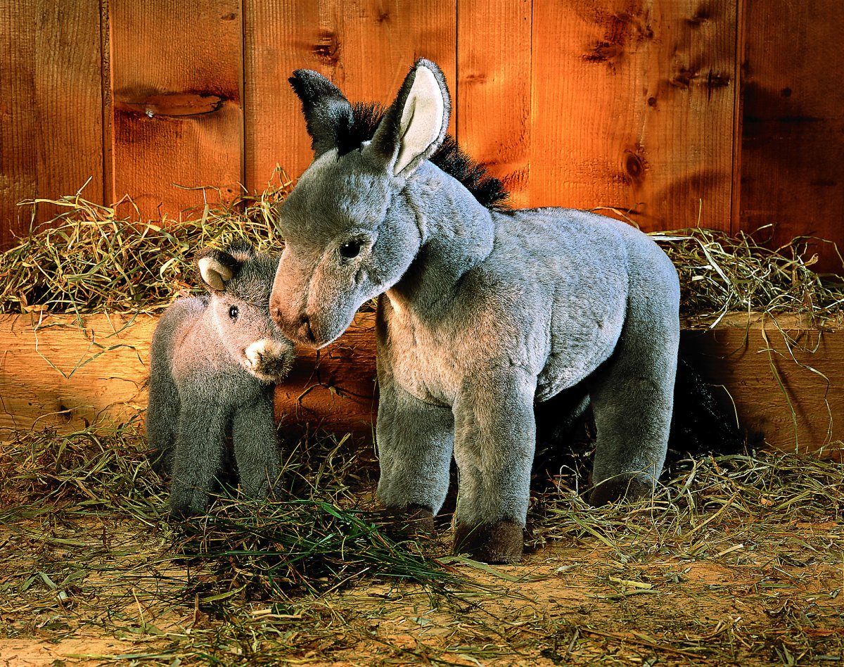 Маленький серый ослик