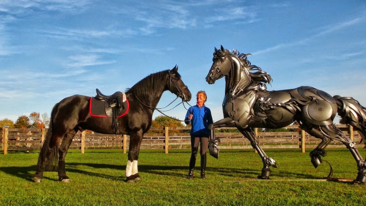 Лошадь будущего