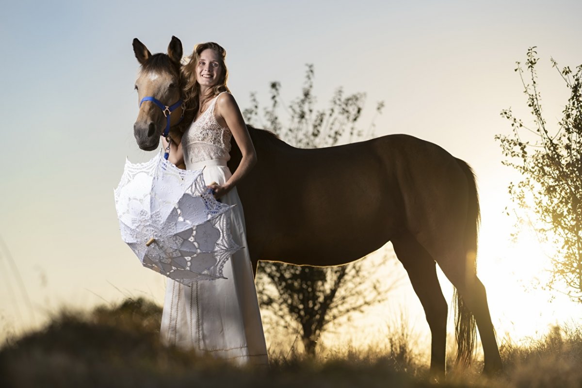 Девушка на лошади на рассвете