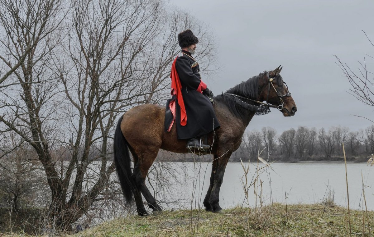 «Кубанские казаки в Львове» Васюк