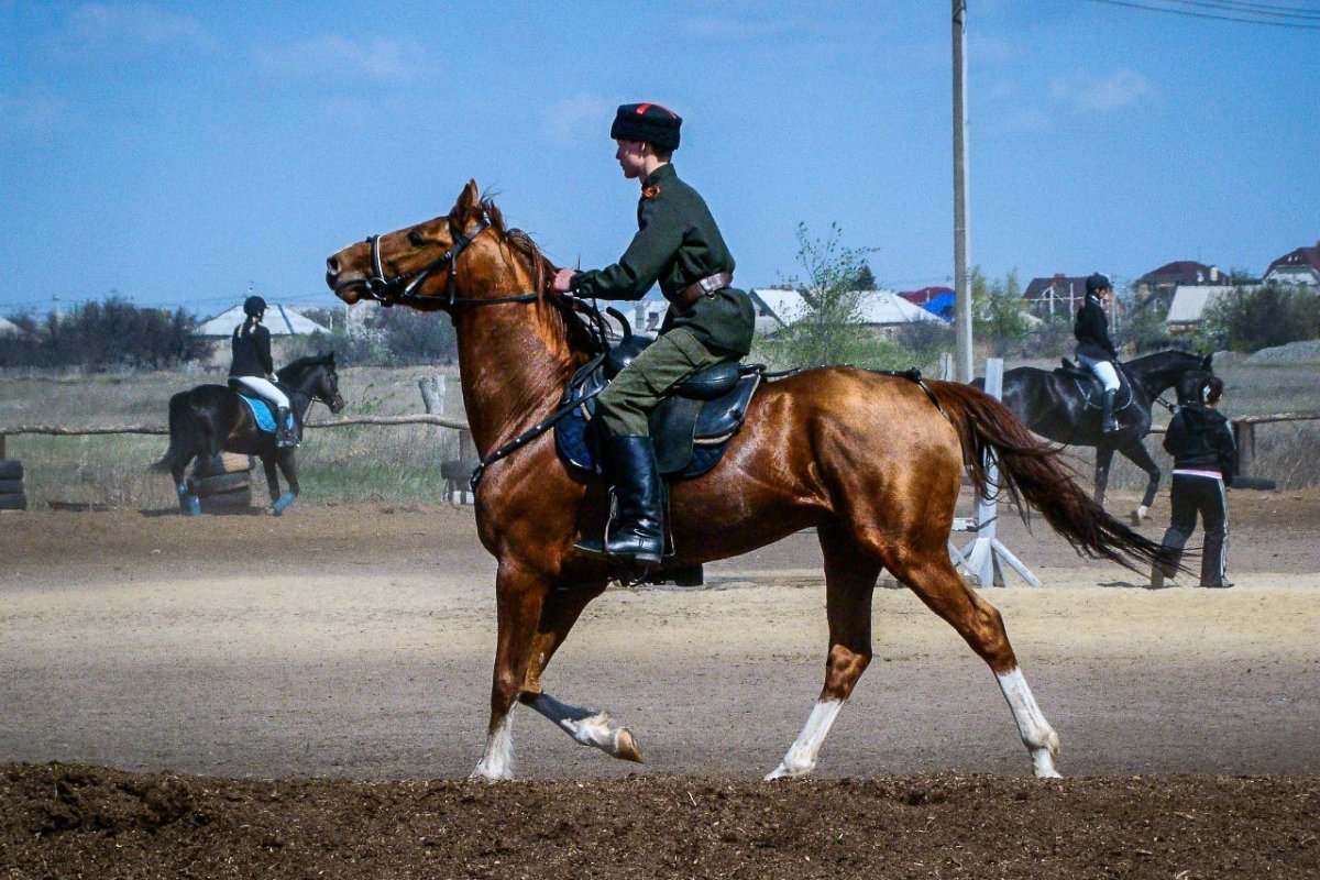 Конный клуб казачка Волгоград