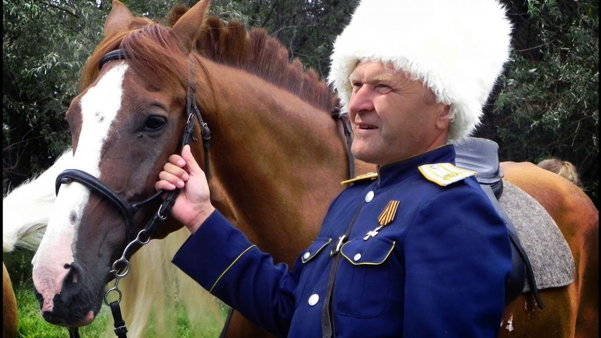 Атаман конь