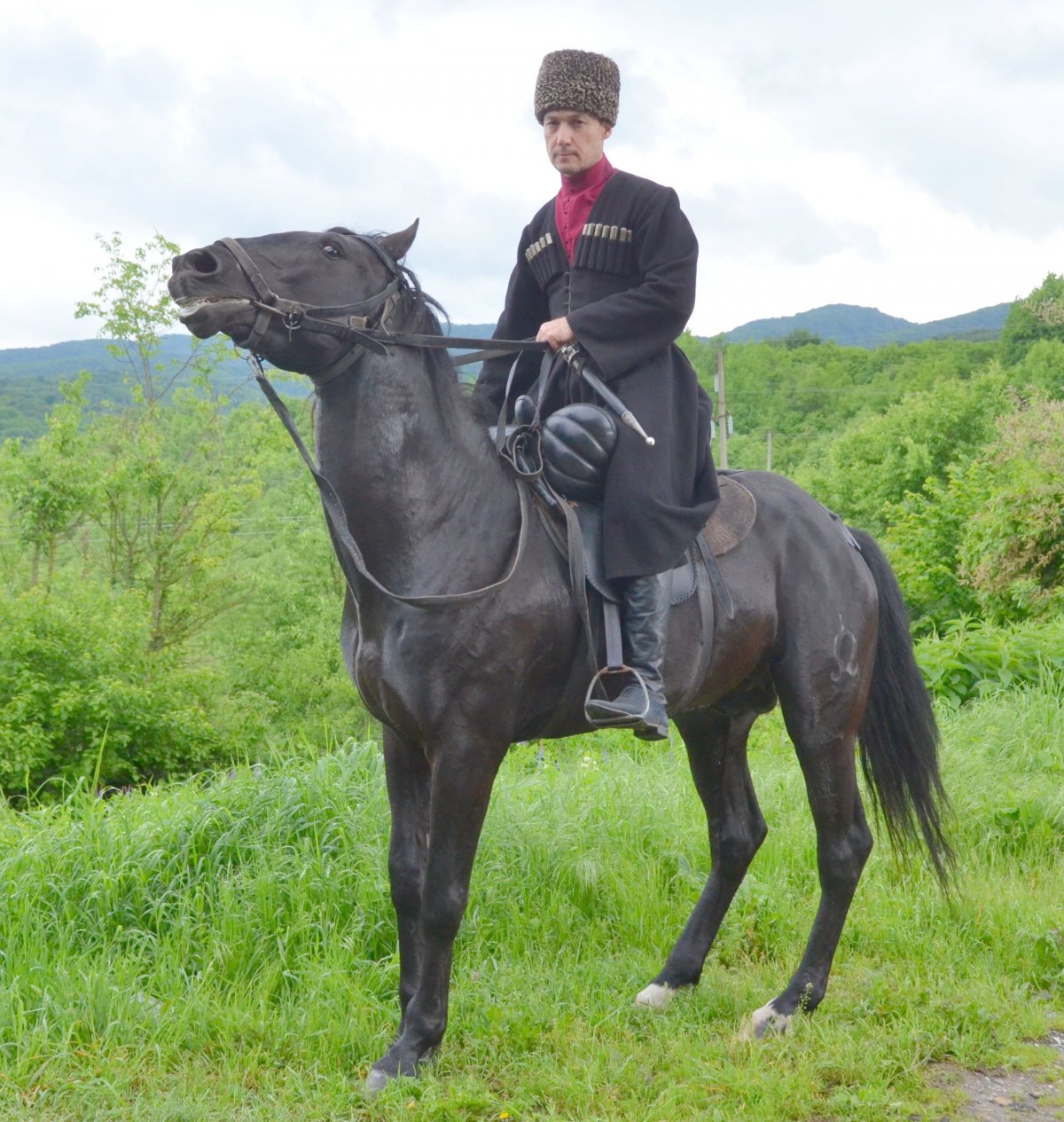 Шагди порода лошадей