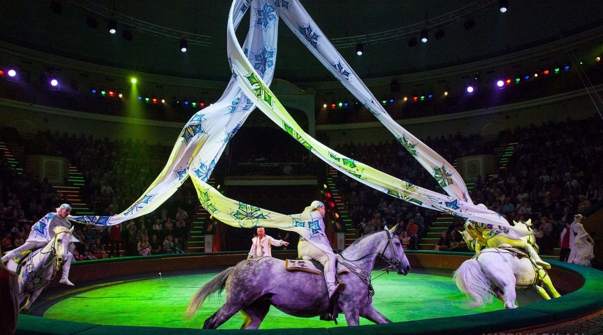 Белорусские наездники цирка