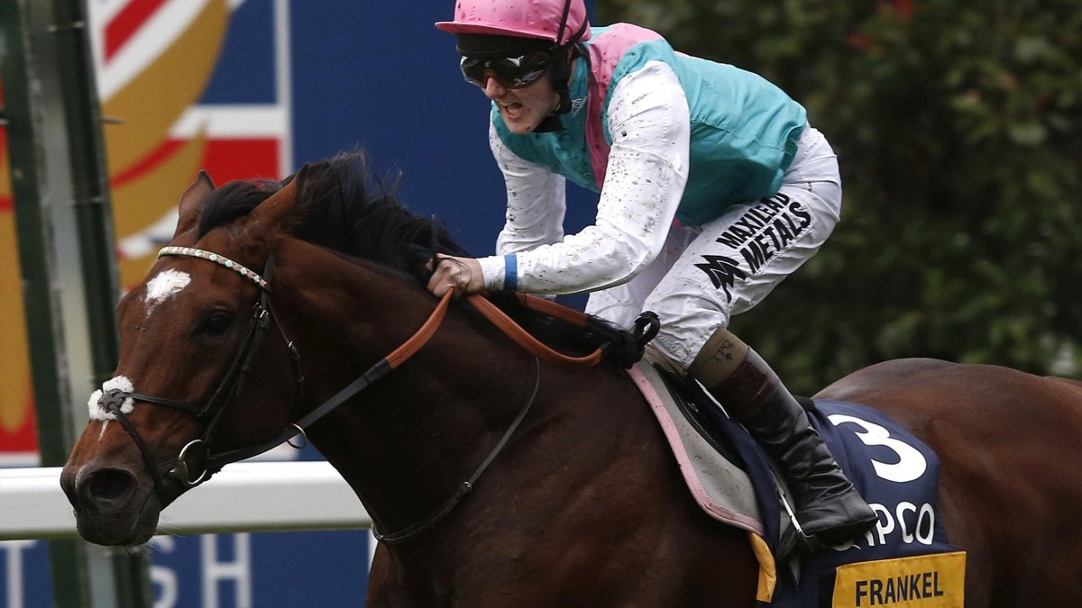 Френкель лошадь