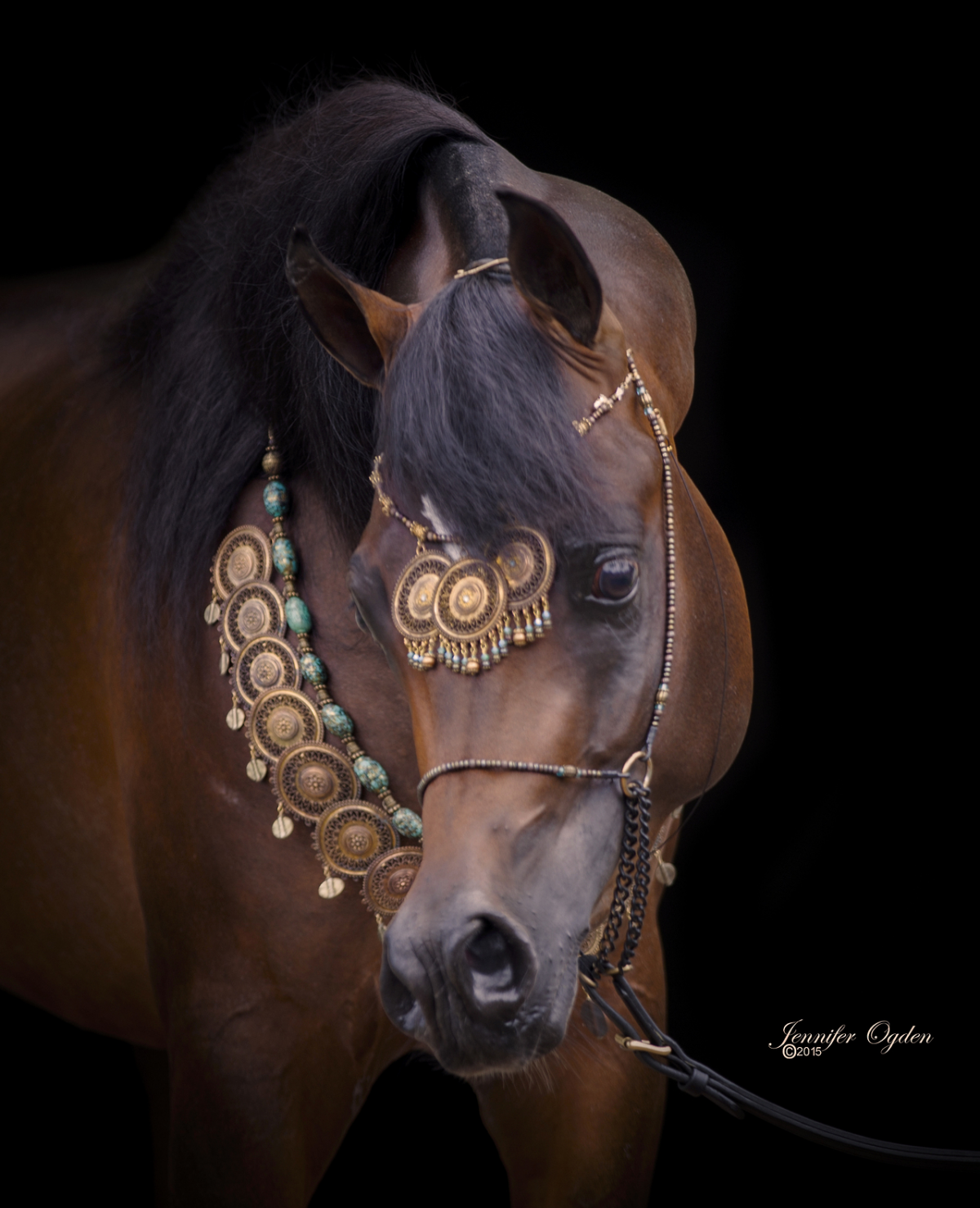 Миллион лошадей