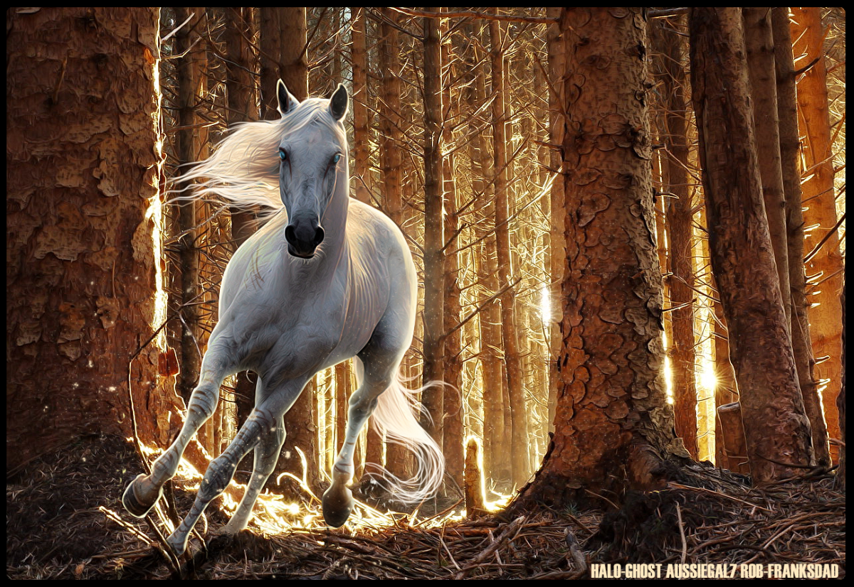 Мчится белый конь