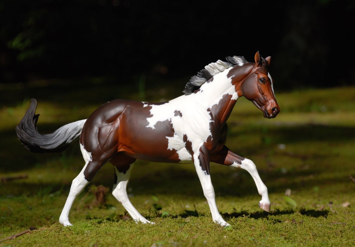 Брейер кастомы