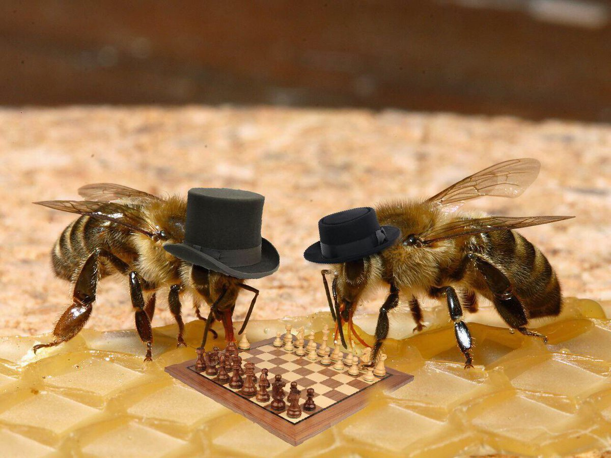 Богатая пчела