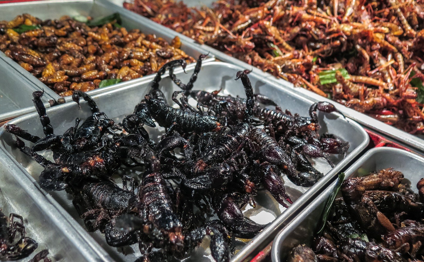 Тараканы купить новосибирск. Тараканы в Тайланде. Жареные жуки в Тайланде. Сушеные насекомые в Тайланде. Жареные насекомые в Тайланде.