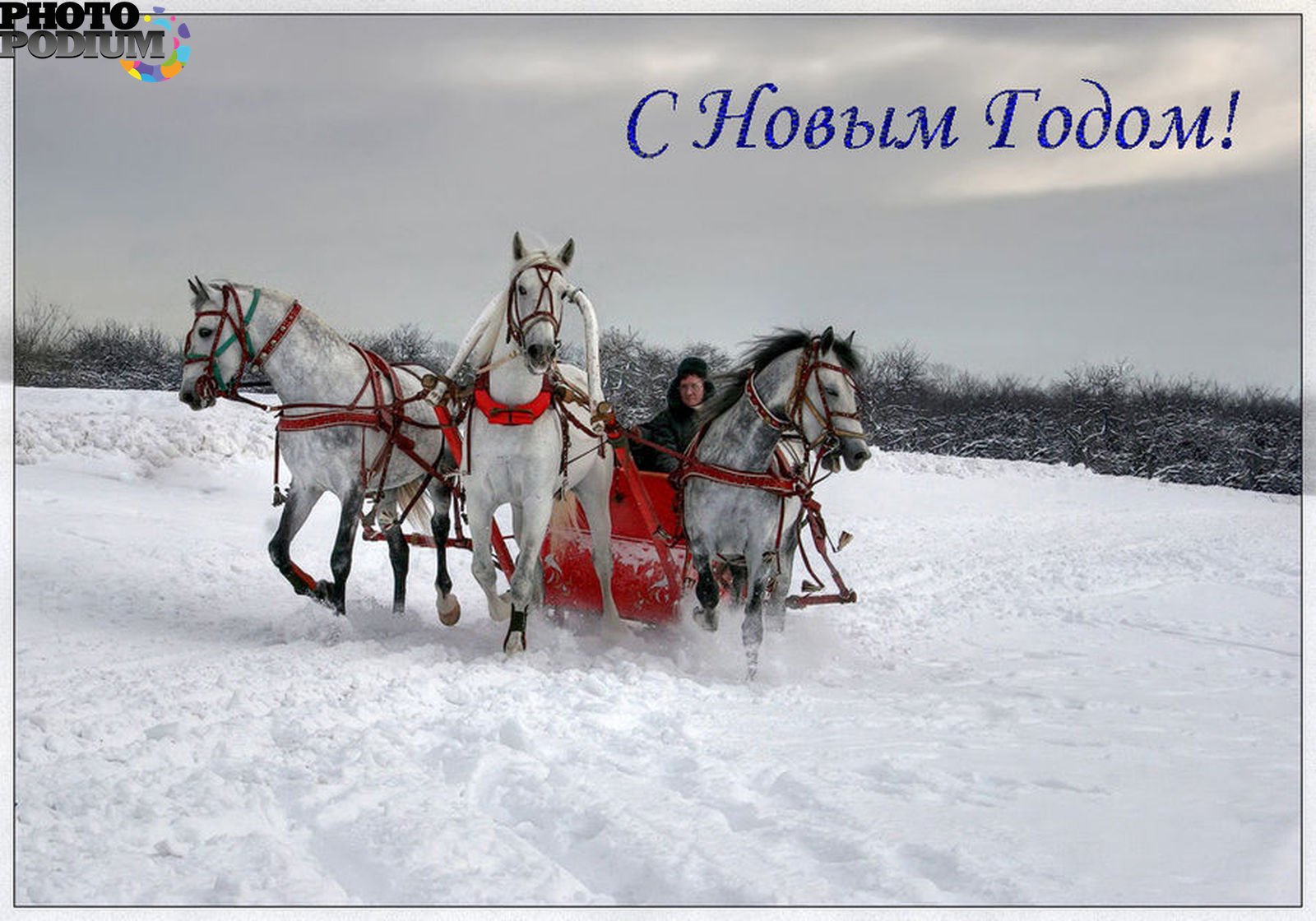 Вот тройка мчится почтовая по волге. Зимняя тройка Васнецов. Тройка лошадей зима. Тройка белых лошадей. Лошадь с санями.