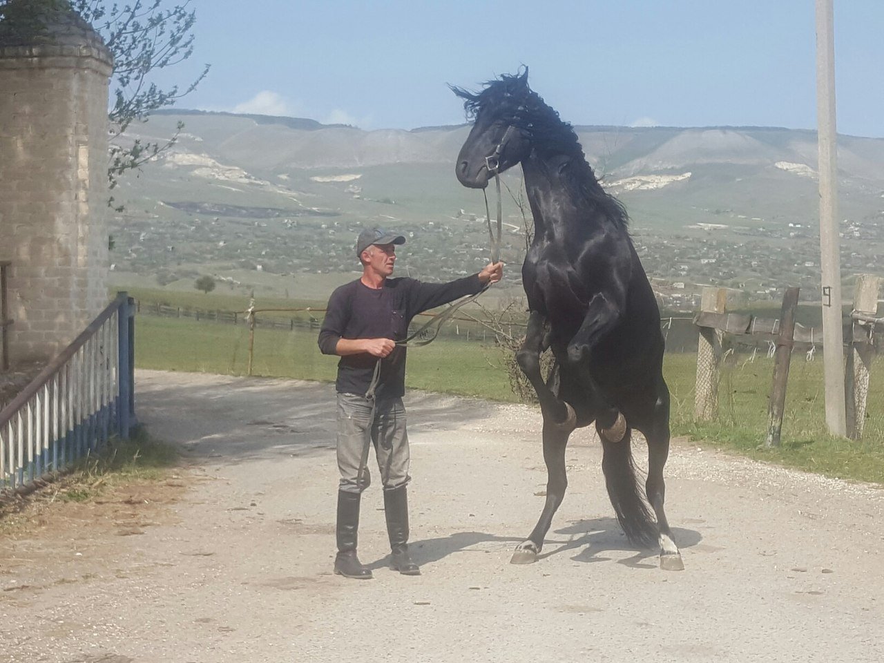 Карачаевская Лошадь