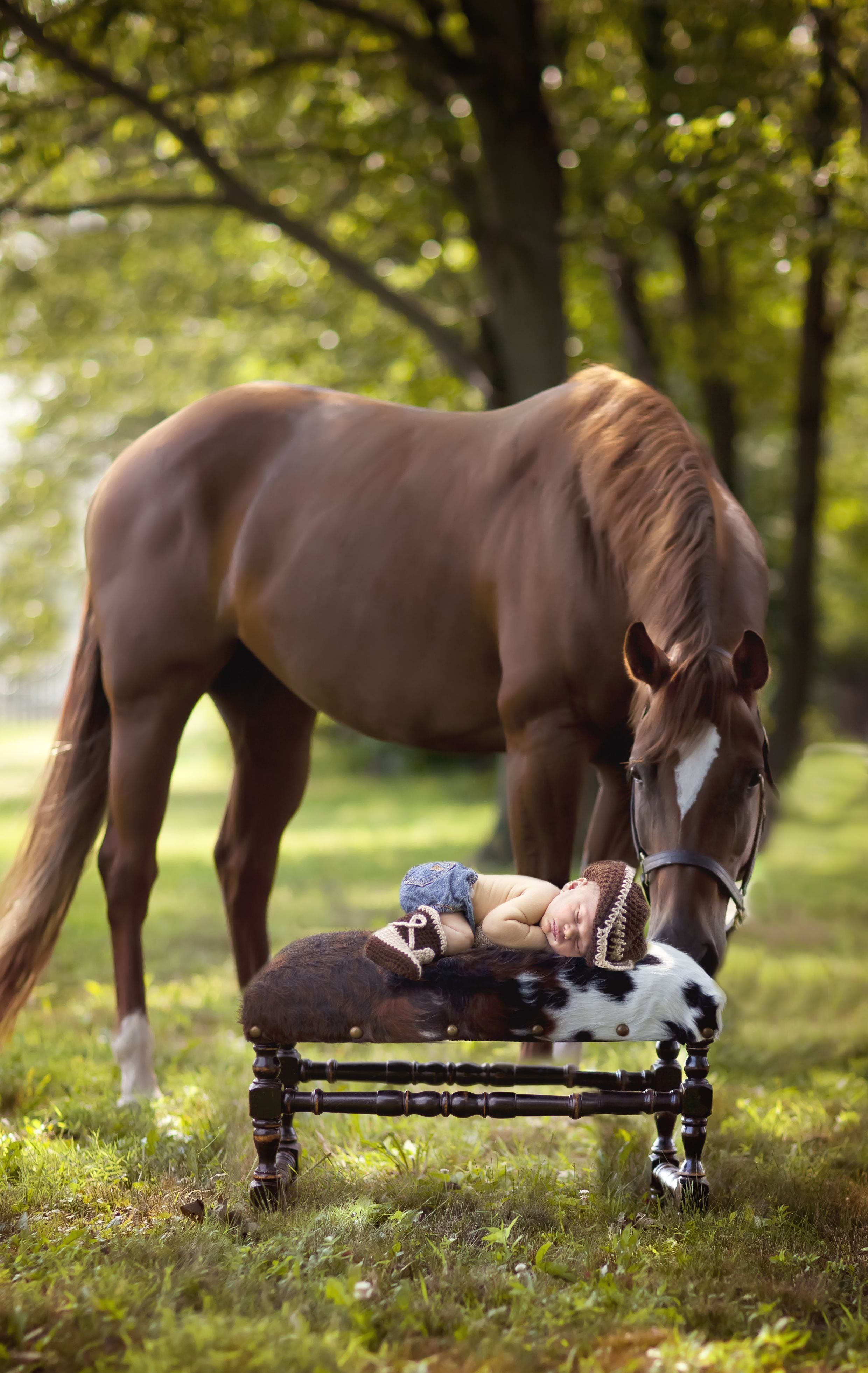 Добрая лошадка. Красивые лошадки. Лошадь с жеребенком. Любовь лошадей. Конь и жеребенок.