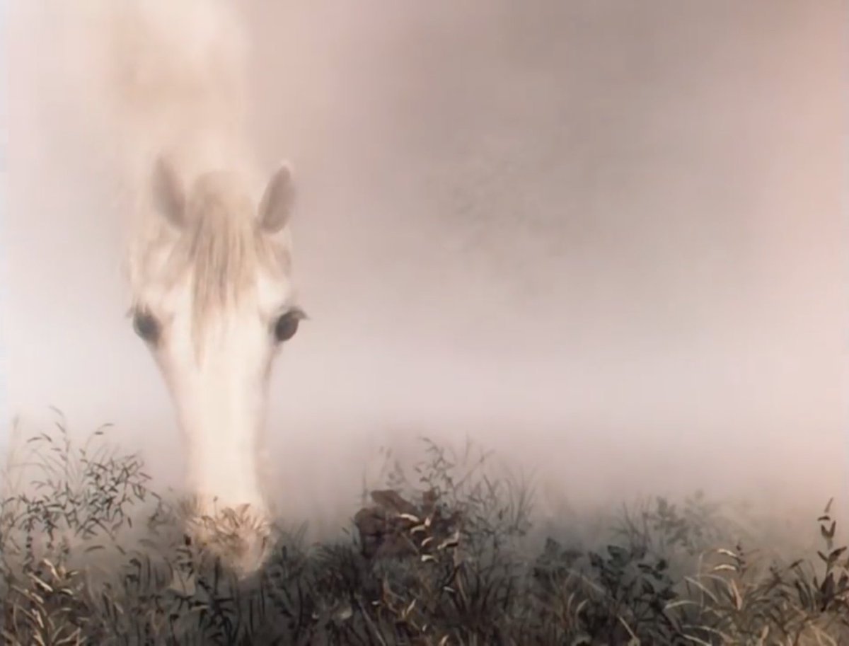 Ежик в тумане лошадь