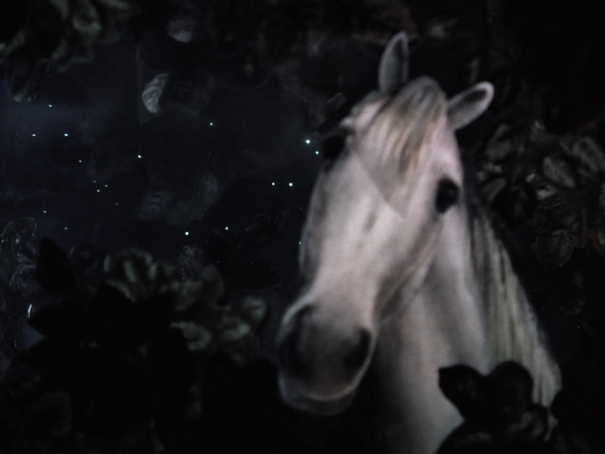Лошадь из мультика Ежик в тумане