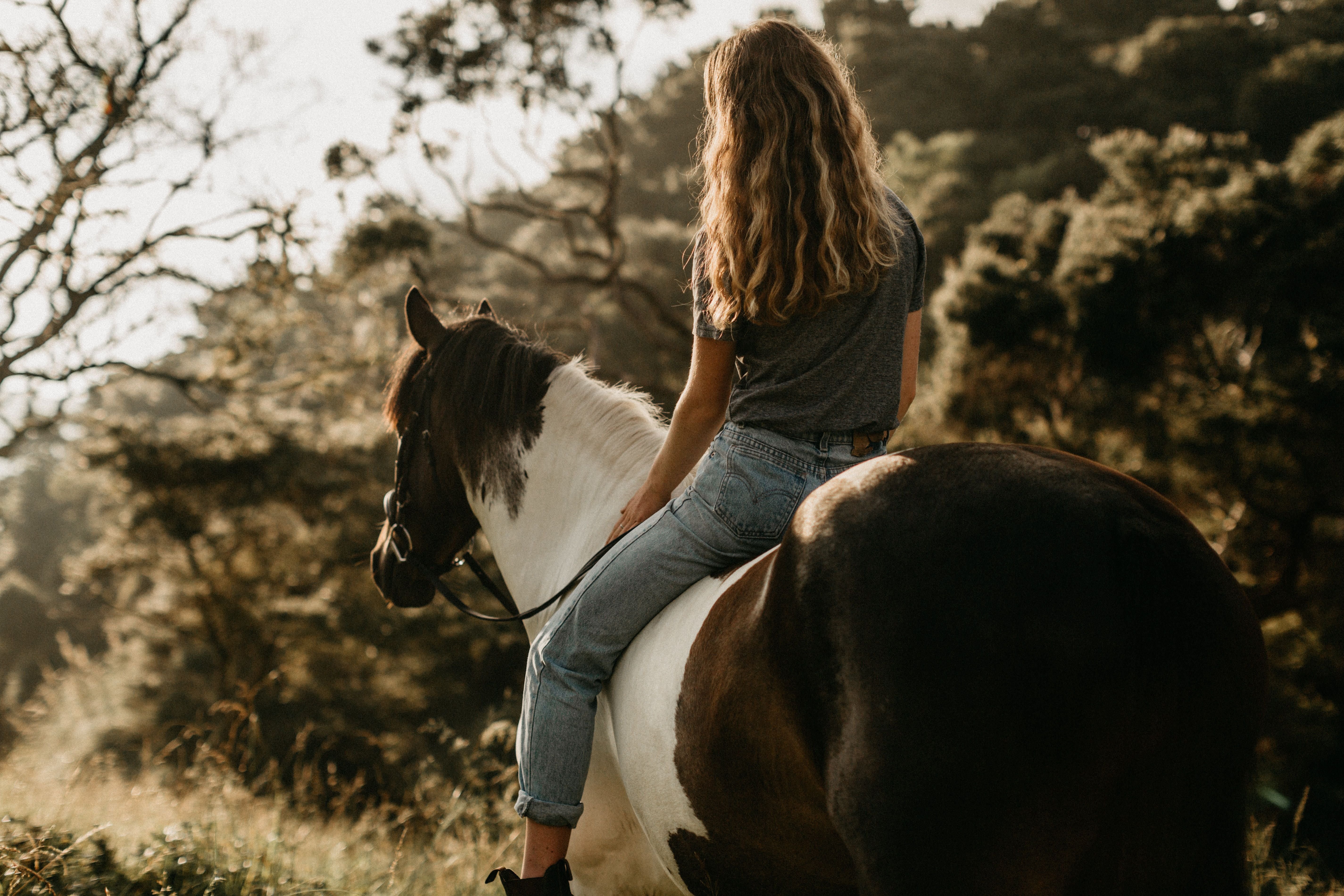Девушки с лошадью занимаются