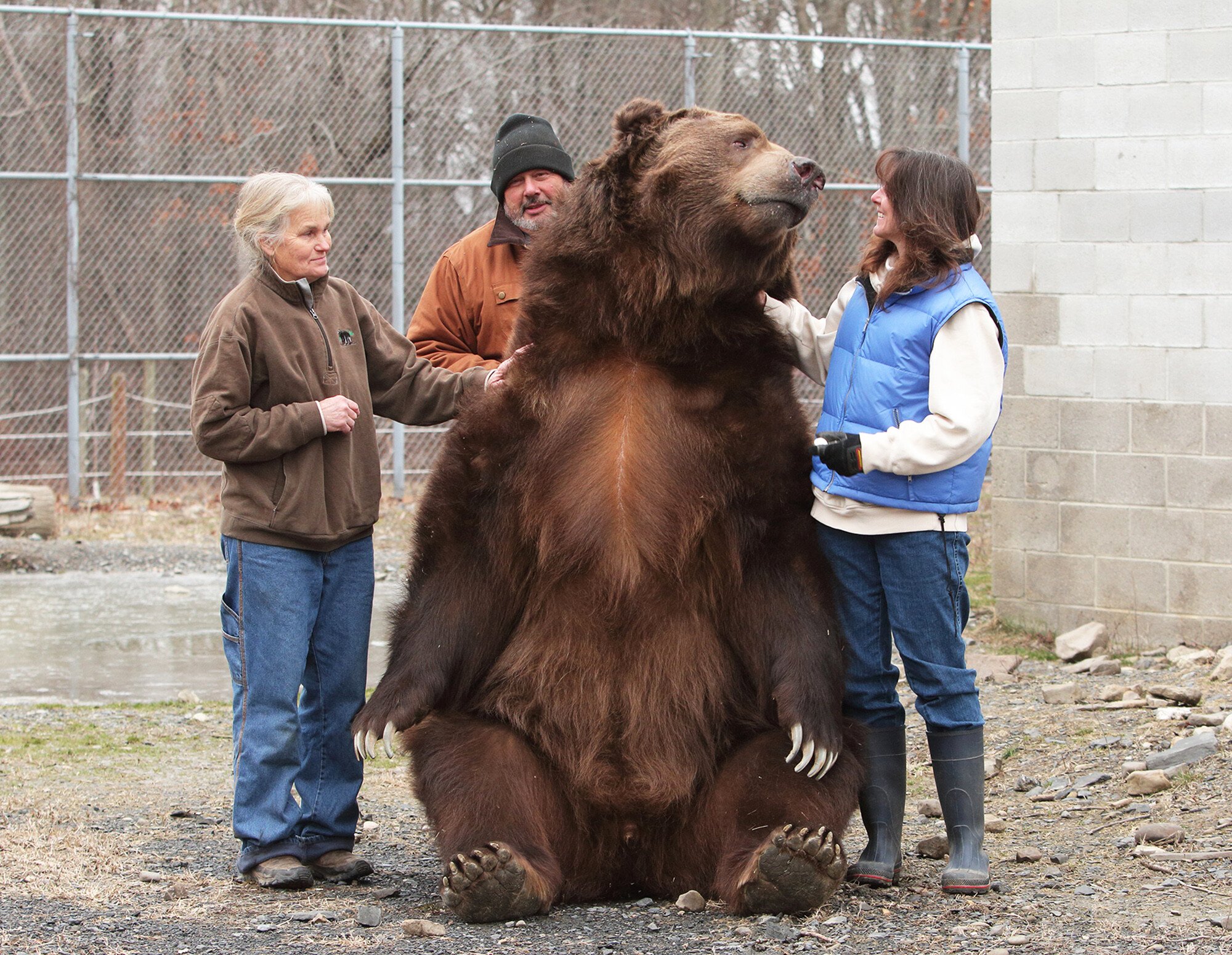 С медведями не расставайтесь. Джим Ковальчик и 22-летний медведь Джимбо. Джим Ковальчик и медведь. Джим и Джимбо крепкая Дружба человека и медведя.