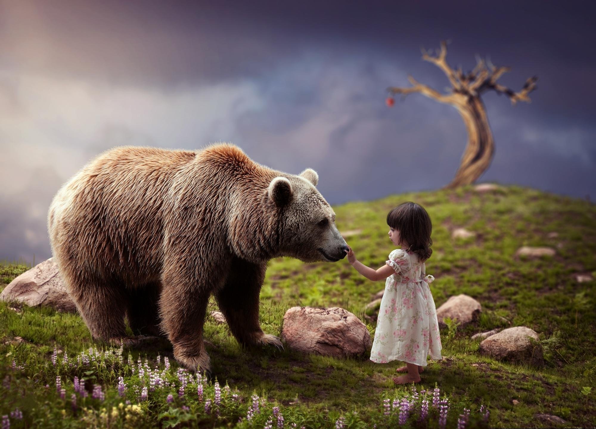 С медведями не расставайтесь. Девочка и медведь. Медведь на фоне природы. Красивый медведь. Медведь гора.