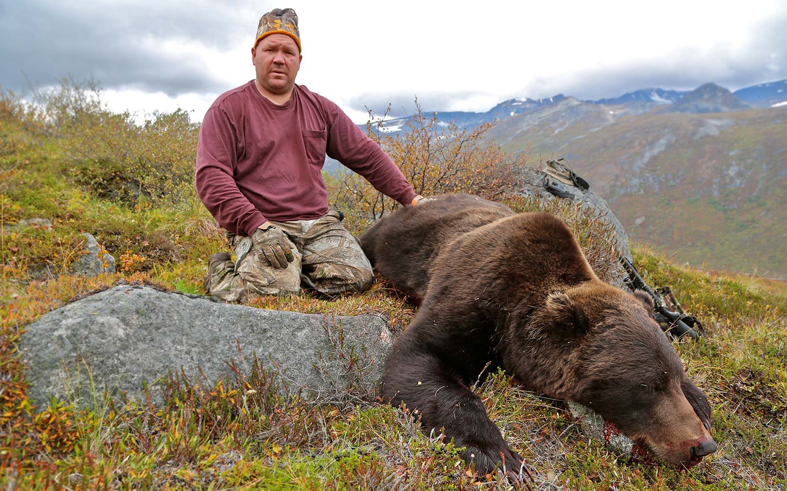 Какие медведи крупнее. Кадьяк (медведь). Самый большой в мире медведь Гризли. Медведи острова Кадьяк. Медведь Кадьяк самый большой в мире.