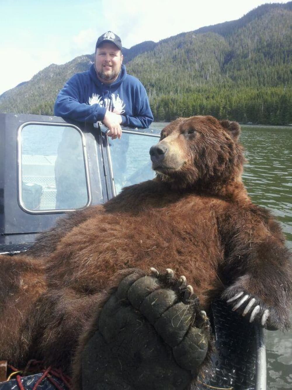 Какой медведь сильнее. Медведь Кадьяк самый большой в мире. Аляскинский бурый медведь Кадьяк. Гризли медведь вес рост. Самый большой в мире медведь Гризли.