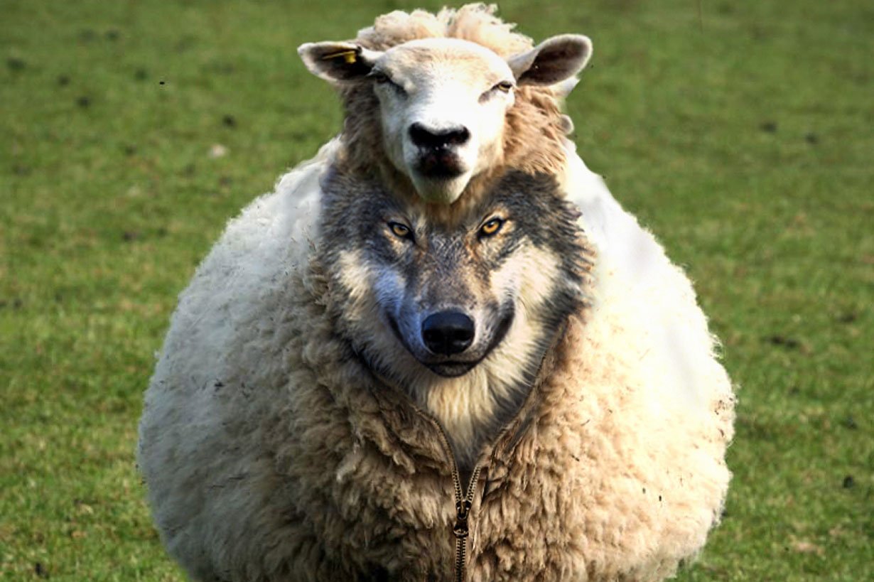 Волк в овечьей шкуре фразеологизм