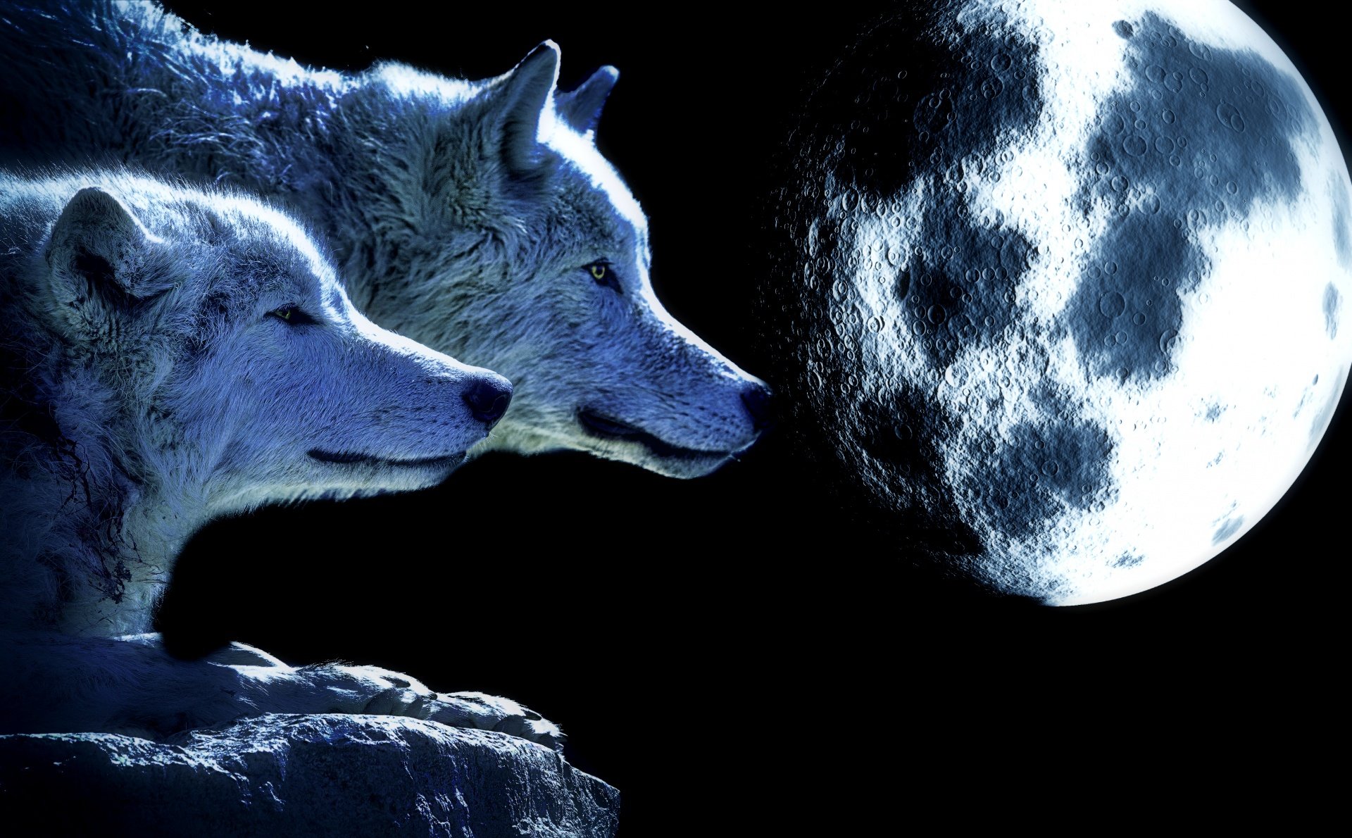 Волк съел луну. Волк и Луна. Картинки на рабочий стол волки на весь экран. Полнолуние волк. Два волка.