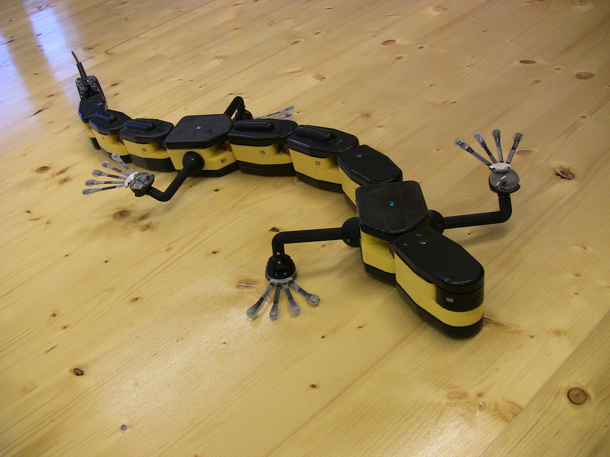 Робот ящерица. Робот саламандра робот саламандра. Робот ящер. Робототехника животные.
