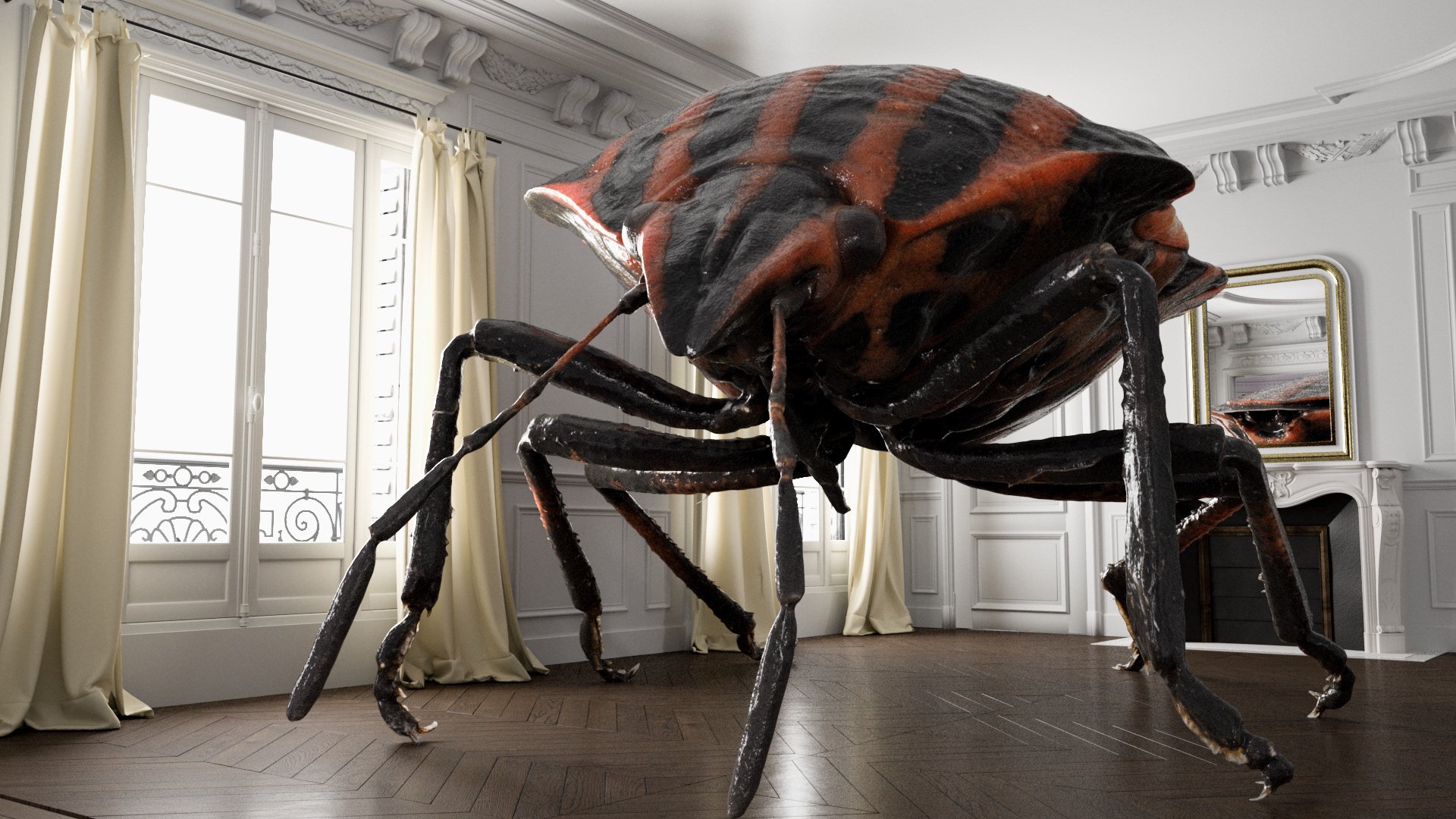 Видеть большого паука. Пауки гиганты. Огромный паук. Огромный гигантский паук. Пауки ubufyn s.