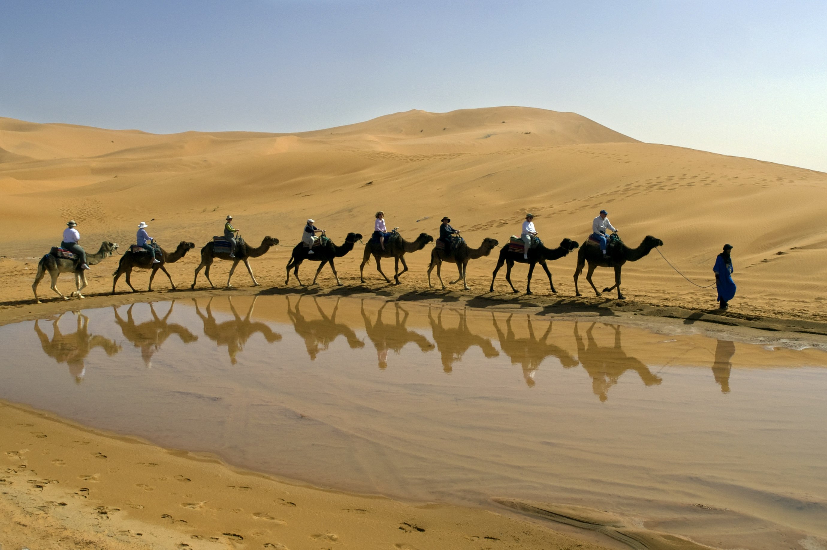 Караван картинка. Караван верблюдов в пустыне. Айдаркуль Верблюды. Караван с верблюдами в пустыне. Верблюд в пустыне.