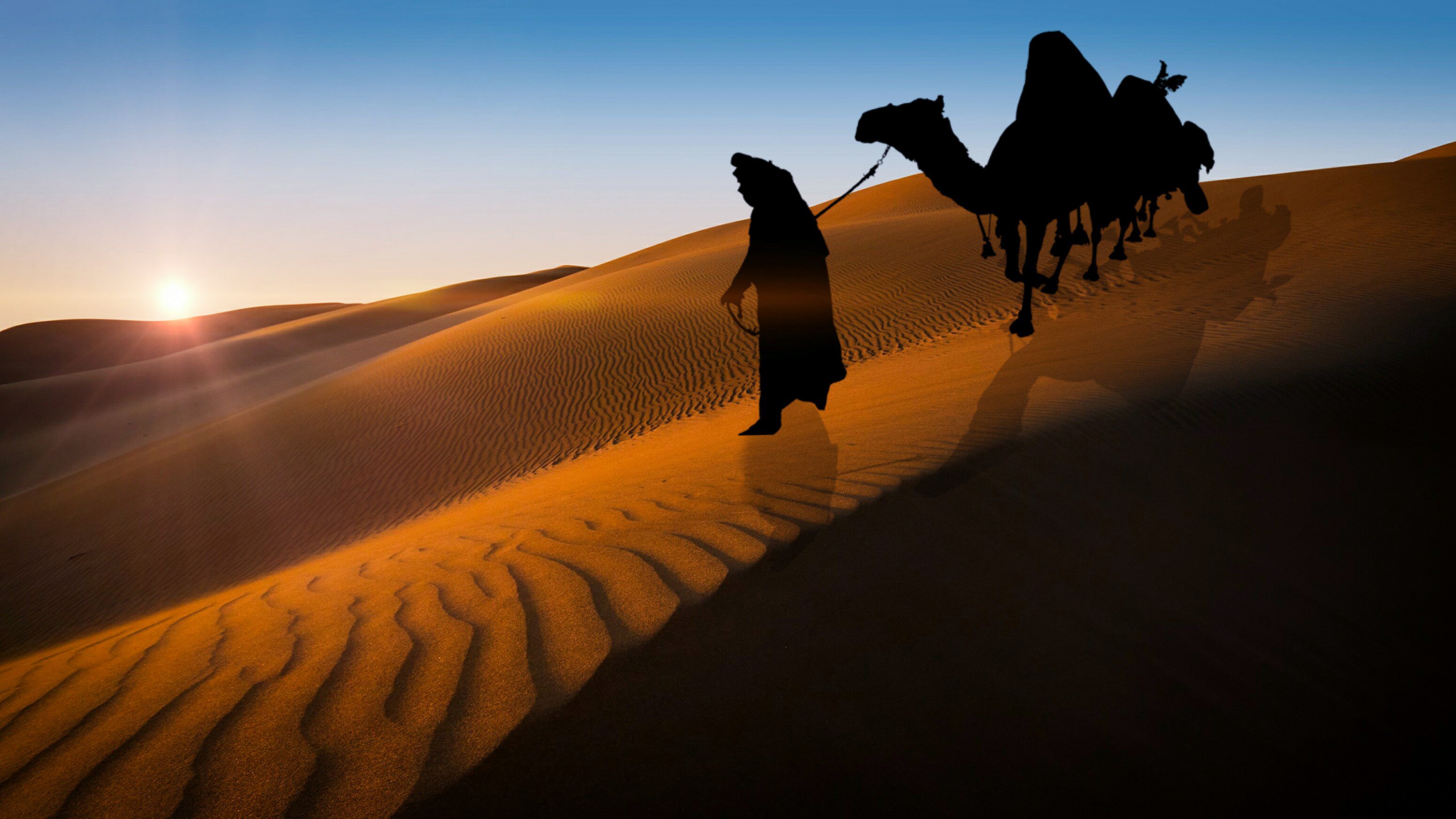 Песня солнце над барханами плывет. Верблюды Караван. Караван Верблюды Барханы. Туркменистан пустыня Караван. Туркменистан Верблюды Караван.