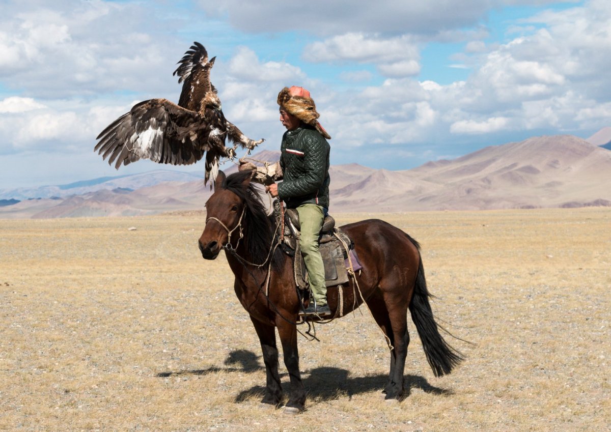 Казахи в степи