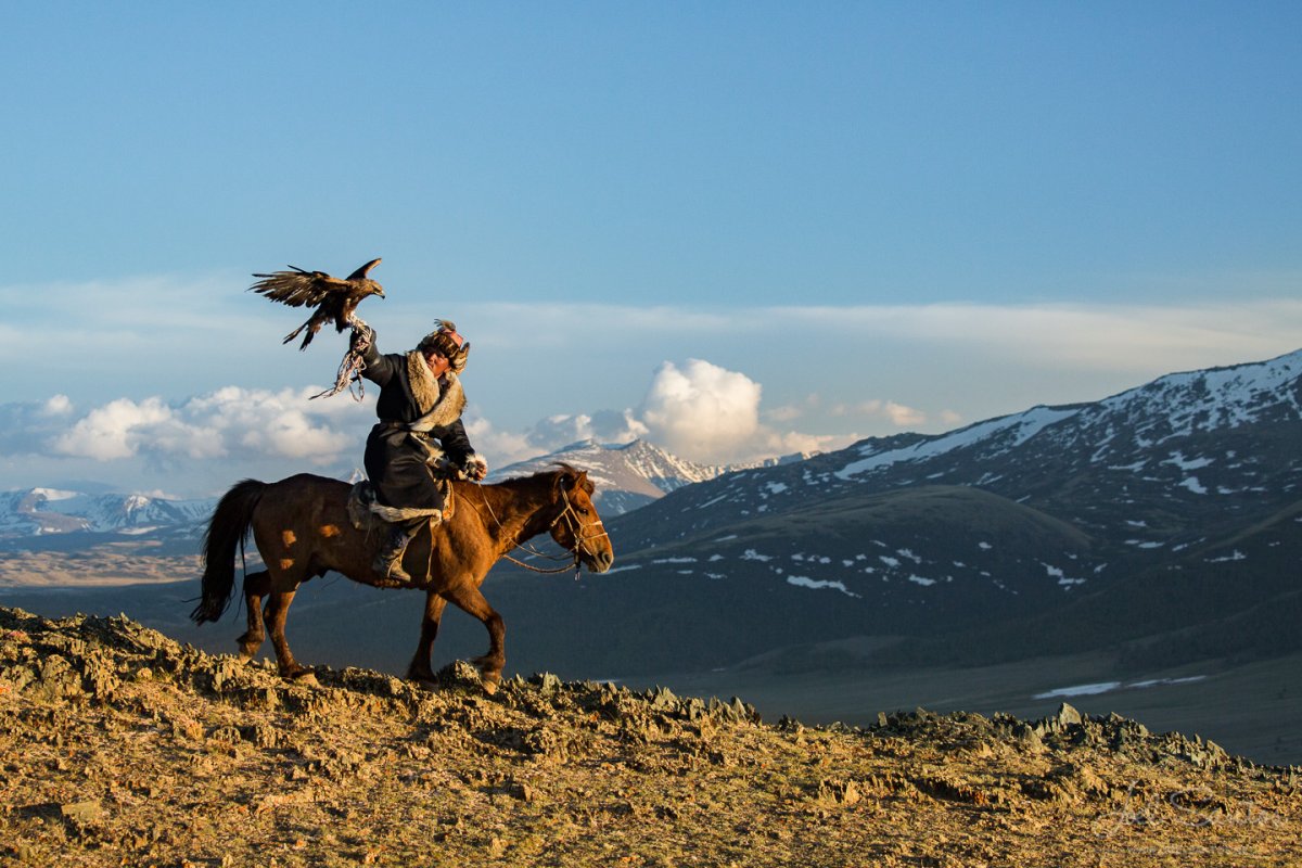 Всадник с Беркутом