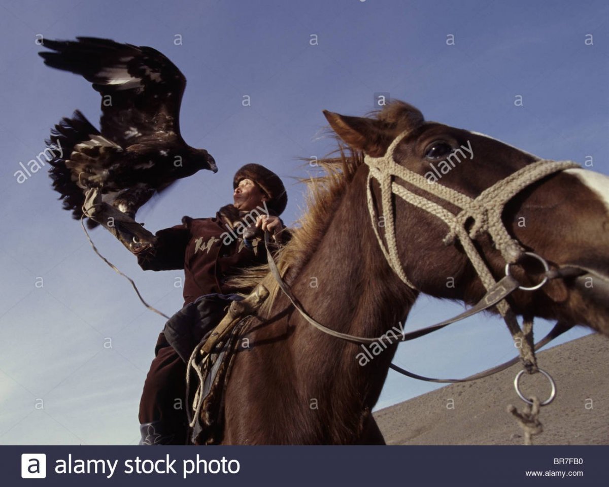 Kazakhstan Horses