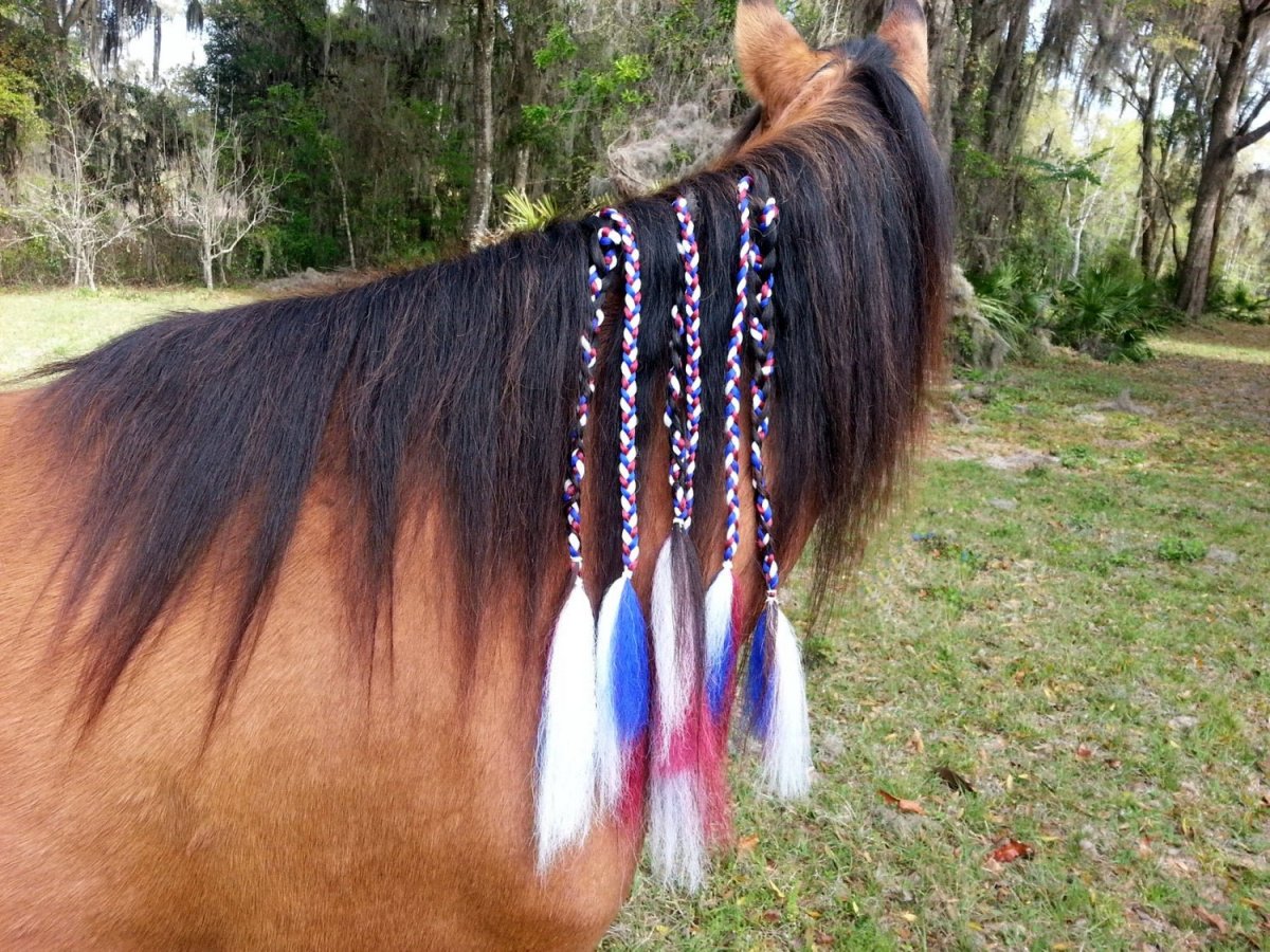 Лошадиные прически грива