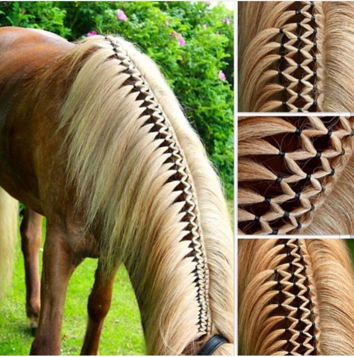 Прически для лошадей