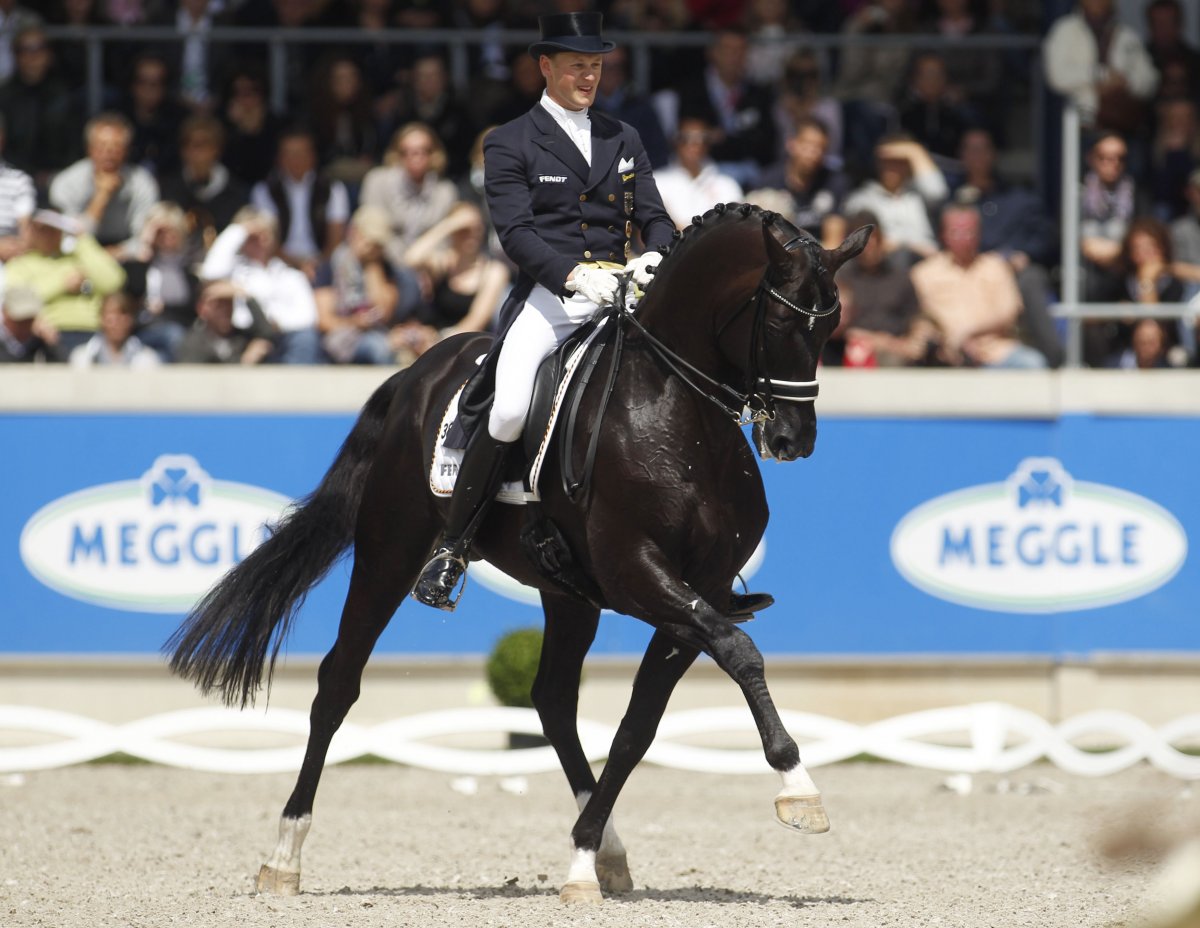 Выездка конный спорт