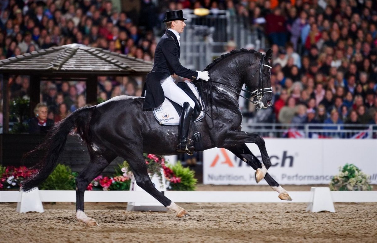 Выездка Тотилас