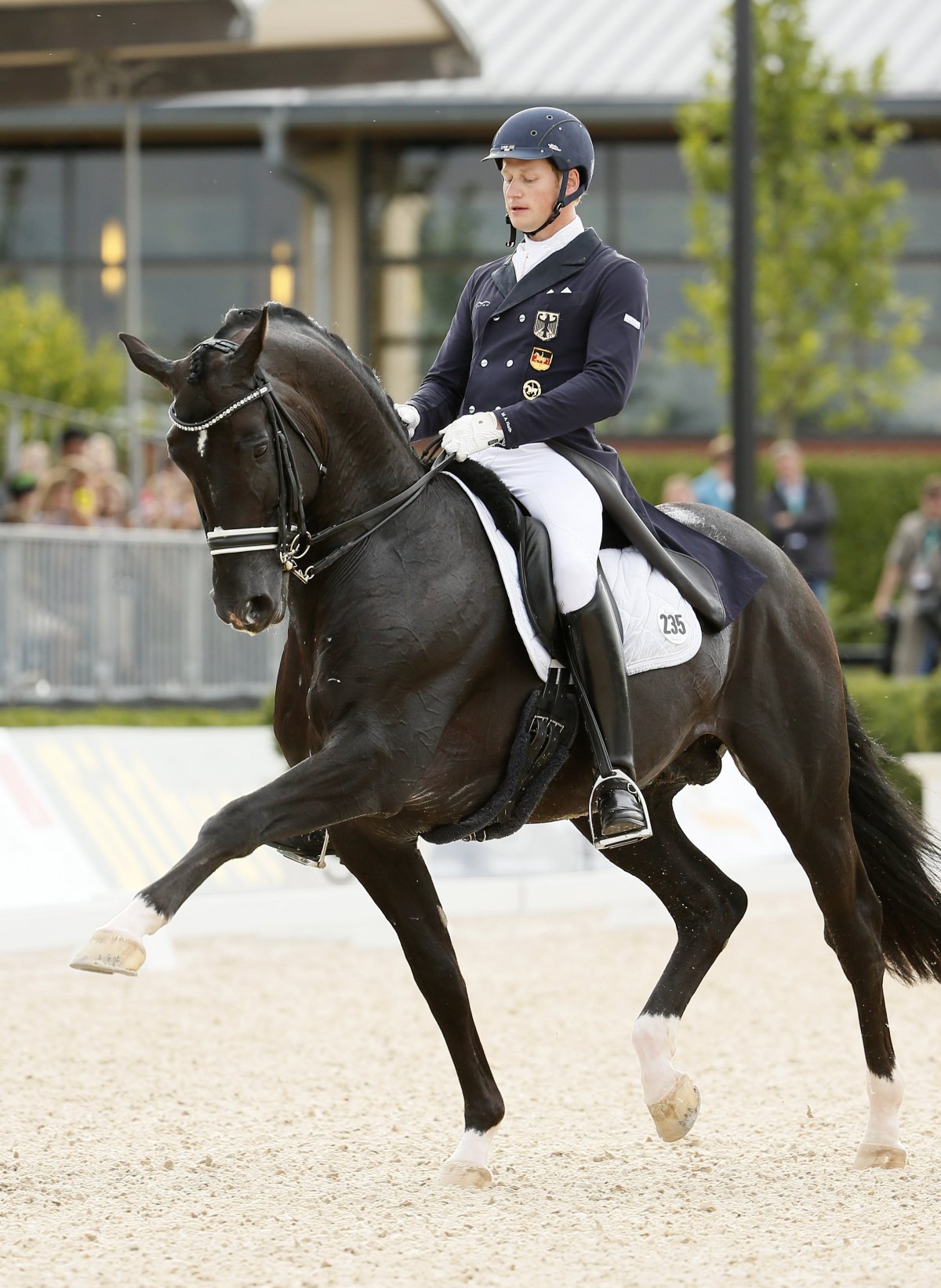 Конный спорт выездка Тотилас