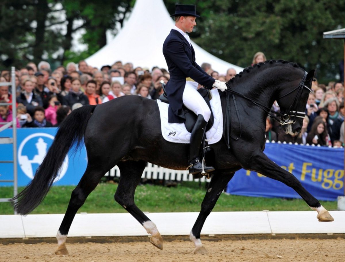 Тотилас Гал