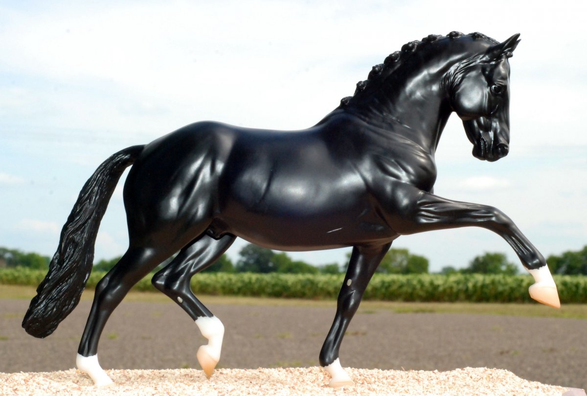 Тотилас жеребёнок