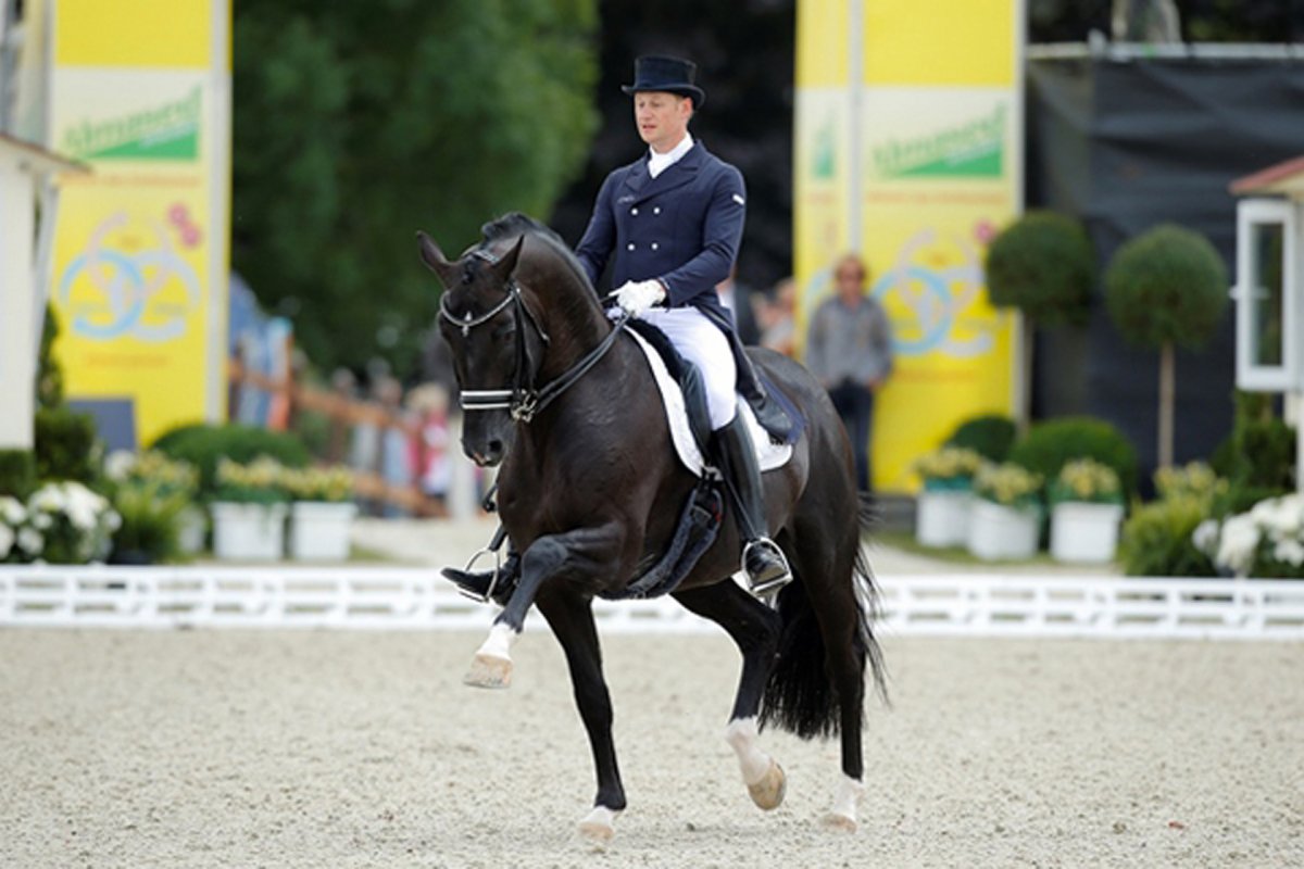 Тотилас лошадь