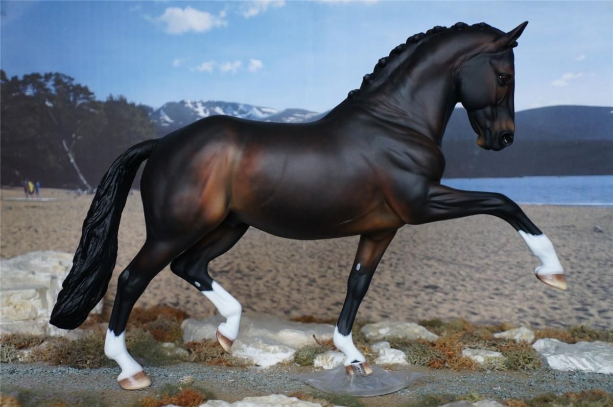 Конный спорт выездка Тотилас