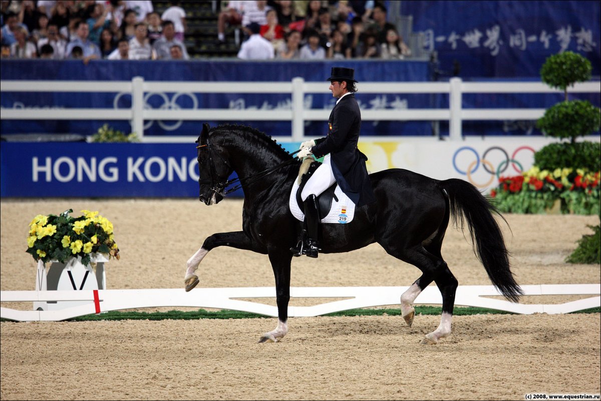 Выездка Тотилас