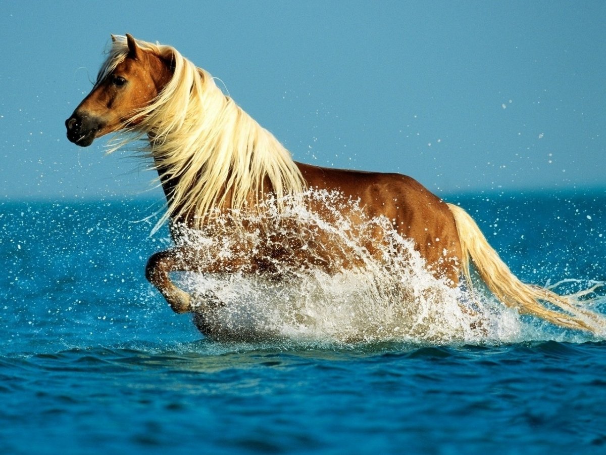 Белая металлическая лошадь